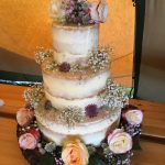 Wedding Cake-semi-naked