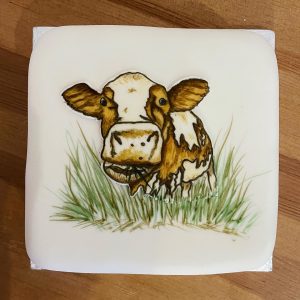 Chewing Cow